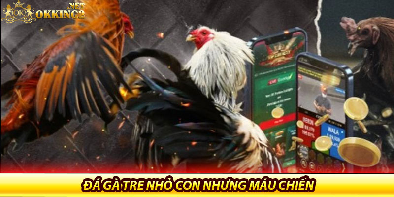 Đá Gà Tre Tại Okking – Sân Chơi Dành Cho Tín Đồ Gà Nhỏ 5 Đá gà tre nhỏ con nhưng máu chiến